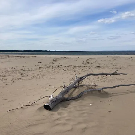 Modern Wyspa Sobieszewska 아파트 그단스크