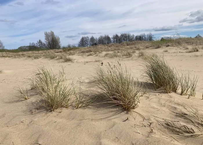 Modern Wyspa Sobieszewska