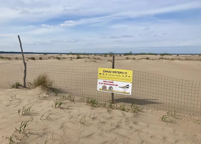 Modern Wyspa Sobieszewska *