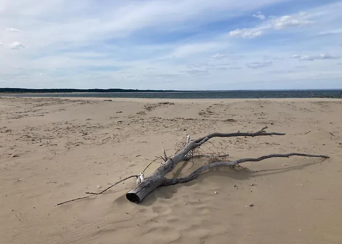 Modern Wyspa Sobieszewska Apartmán Gdaňsk